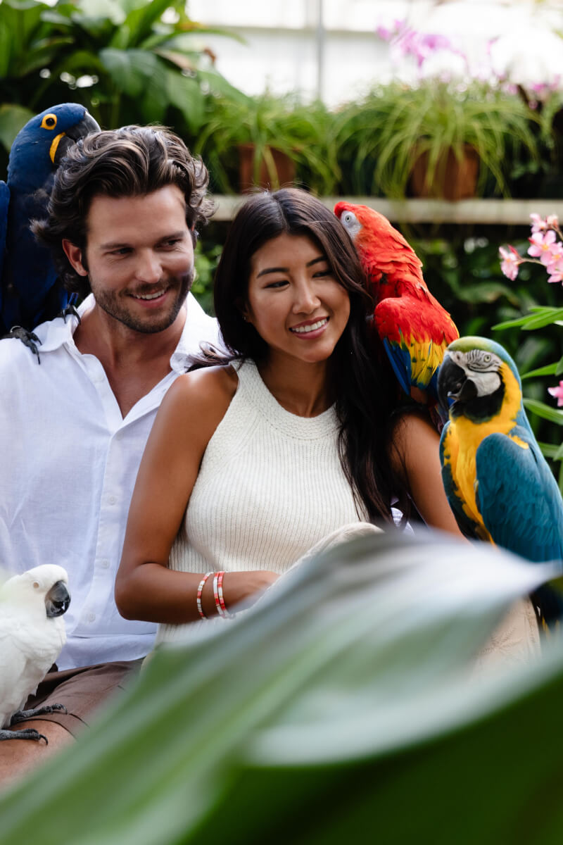 Maui Summer Campaign